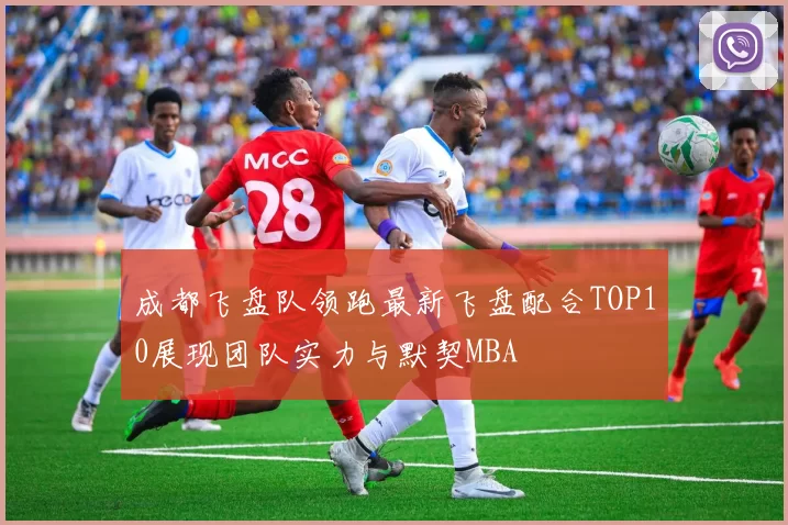 成都飞盘队领跑最新飞盘配合TOP10展现团队实力与默契MBA