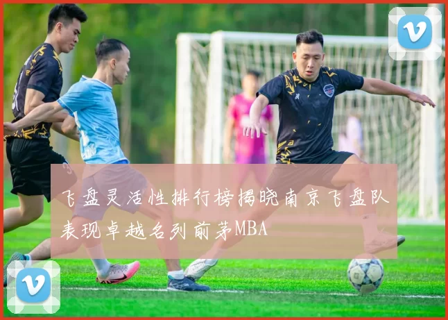 飞盘灵活性排行榜揭晓南京飞盘队表现卓越名列前茅MBA